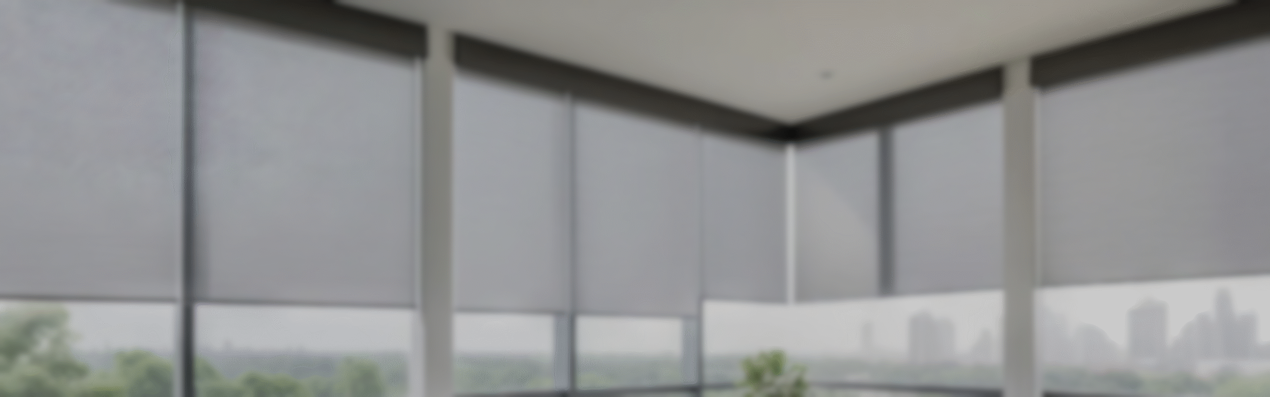 Interior Shades